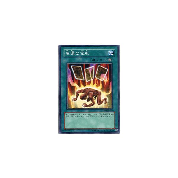 遊戯王オフィシャルカードゲーム デュエルモンスターズ 遊戯王カード
