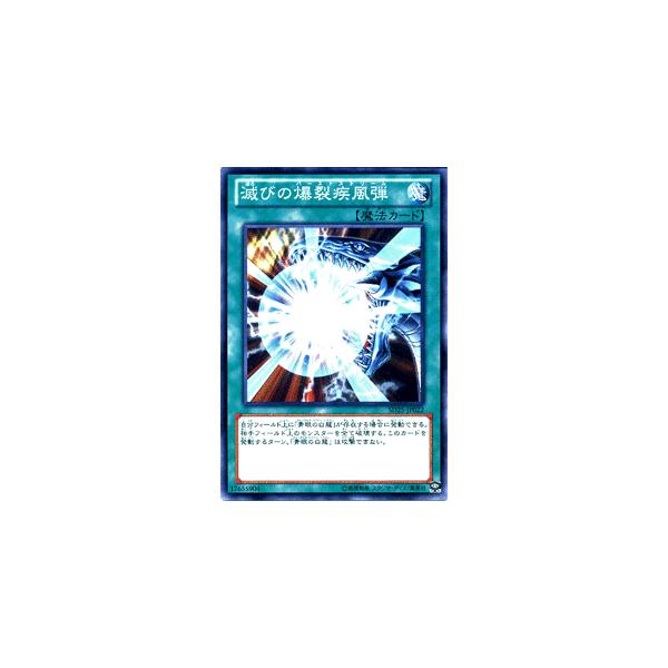 遊戯王オフィシャルカードゲーム デュエルモンスターズ 遊戯王 滅びの
