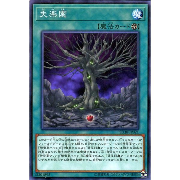 遊戯王 card-museum_sd38-jp021-n カード3枚 遊戯王OCG デュエルモンスターズ