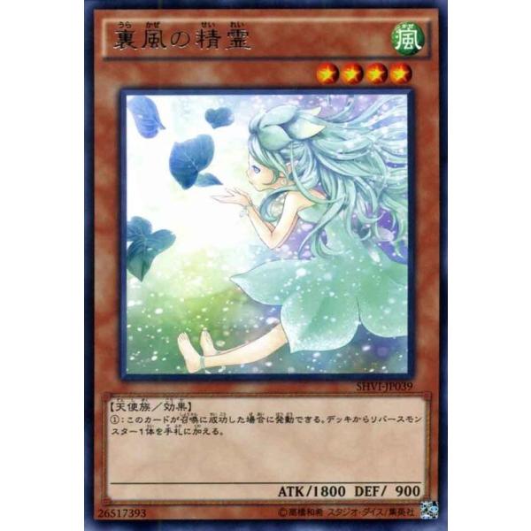 遊戯王オフィシャルカードゲーム デュエルモンスターズ 遊戯王カード 