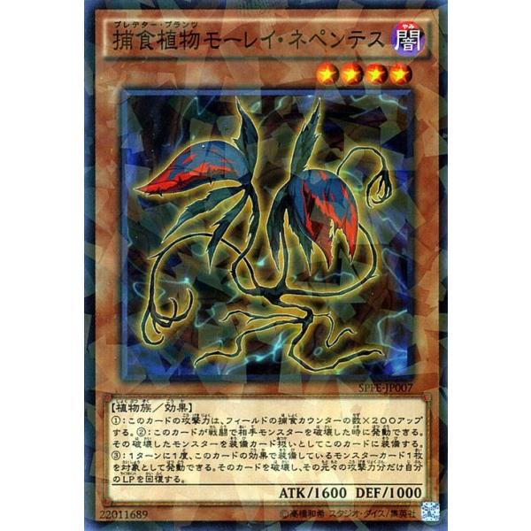 card-museum_spfe-jp007-np