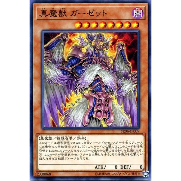 遊戯王　カードセット card-museum_sr06-jp009-n