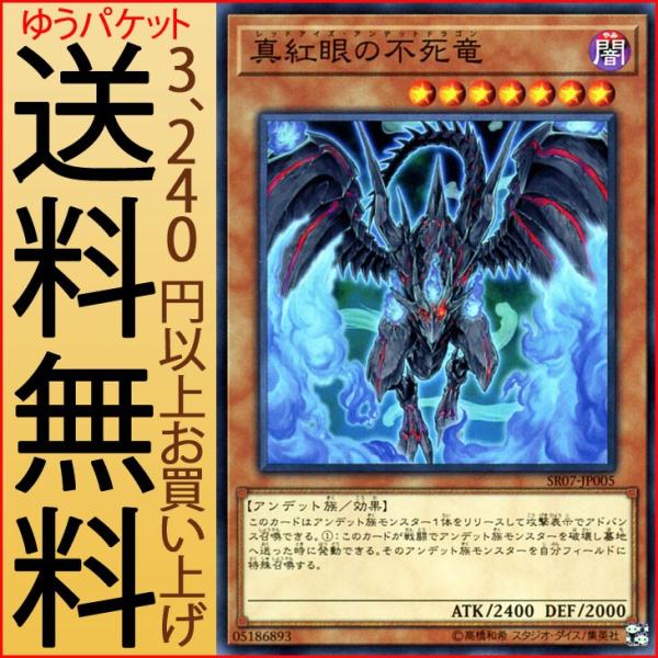 遊戯王カード！ 氷霊山の龍祖ランセア 25th シークレット】ターミナルワールド