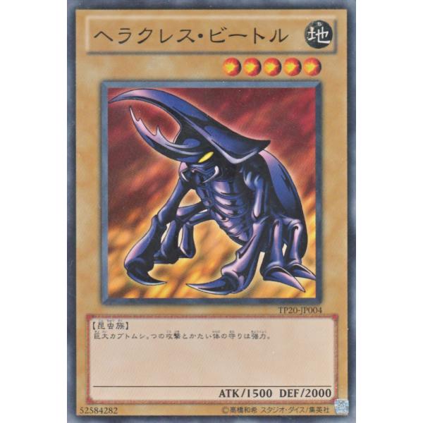 遊戯王オフィシャルカードゲーム デュエルモンスターズ 遊戯王カード