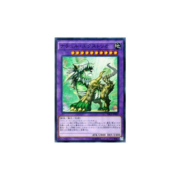 遊戯王オフィシャルカードゲーム デュエルモンスターズ 遊戯王カード 