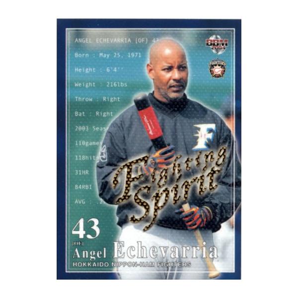 BBM2004 kC{nt@C^[Y Fighting Sprits No.FS11 G`oA