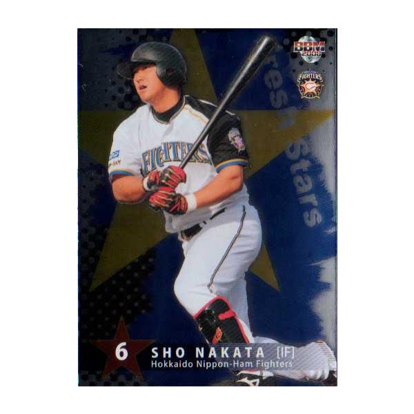 BBM2008 kC{nt@C^[Y 150pJ[h No.F73 c