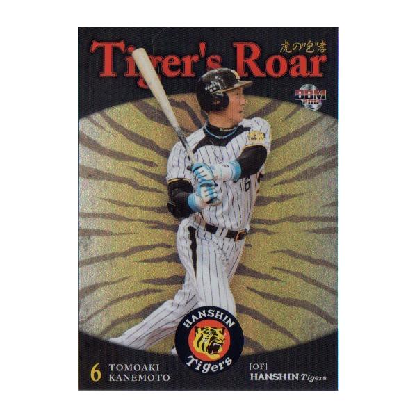 BBM2012 _^CK[X Ղ̙K No TR8 {m