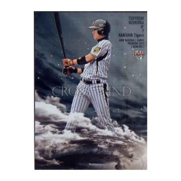 BBM2013 GENESIS/WFlVX CROSS WIND 100p No.CW045 