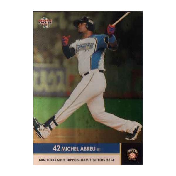 BBM2014 kC{nt@C^[Y 150pJ[h No.F56 AuC