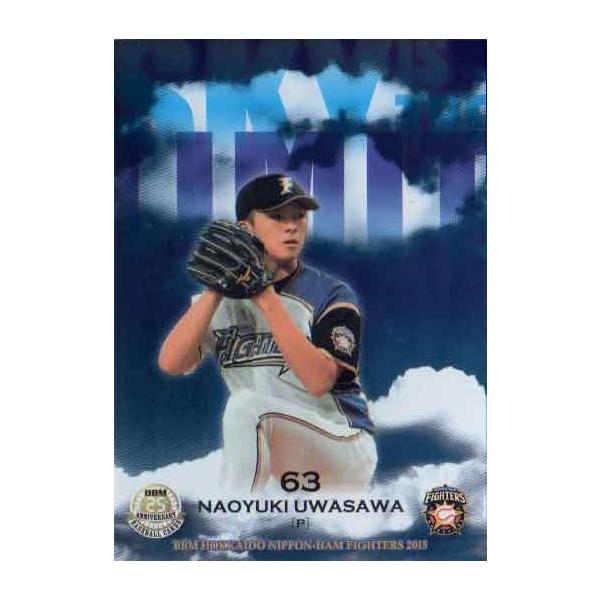 BBM2015 kC{nt@C^[Y Sky Is The Limt No.SL04 򒼔V