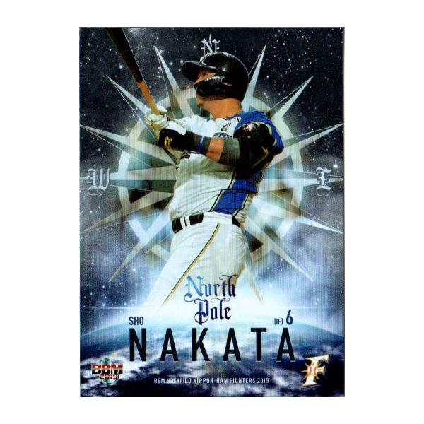 BBM2019 kC{nt@C^[Y North Pole No.NP4 c