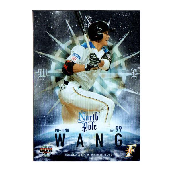 BBM2019 kC{nt@C^[Y North Pole No.NP9 Z