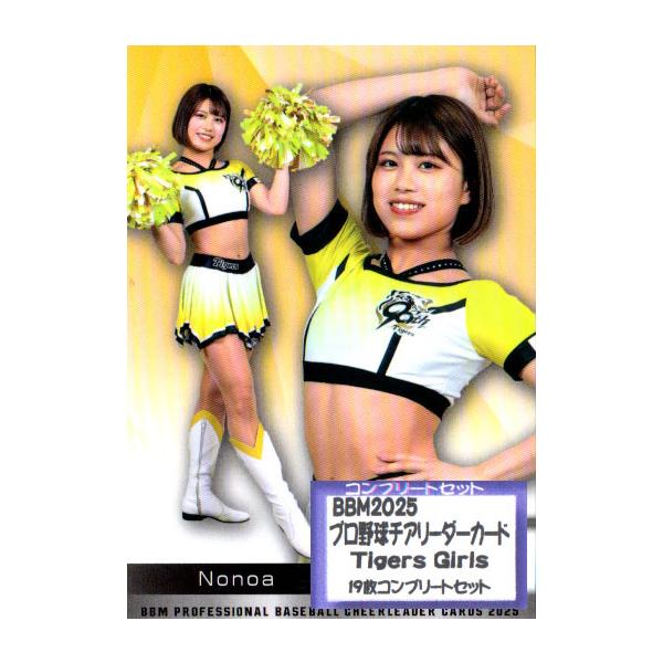 BBM2025 プロ野球チアリーダーカード Tigers Girls(阪神
