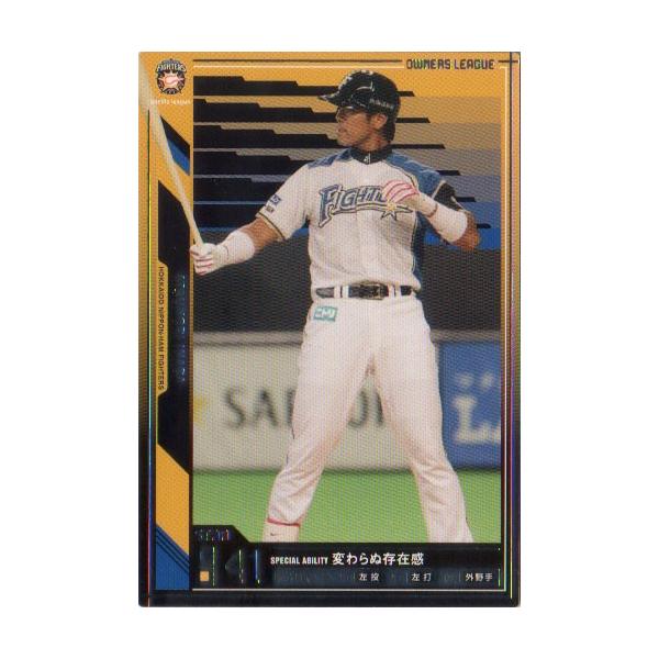 BANDAI I[i[Y[O (kC{nt@C^[Y) tċI  (1)