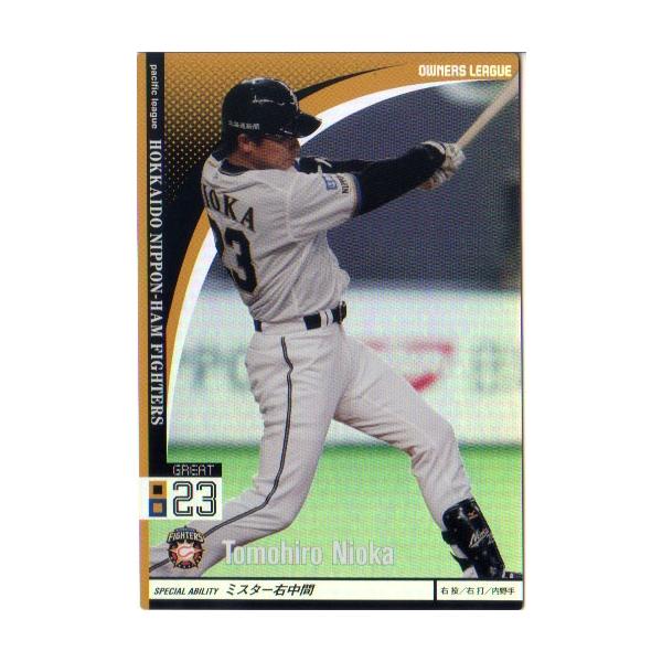 BANDAI I[i[Y[O (kC{nt@C^[Y) 񉪒qG  (1)