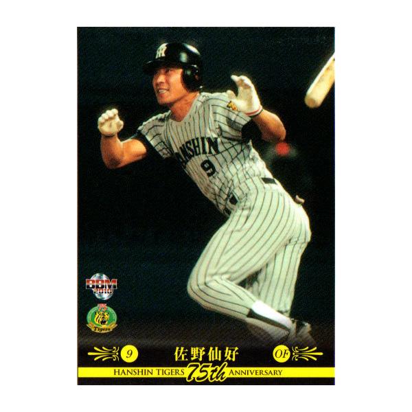 BBM2010 _^CK[X75NLOJ[h M[J[h No.37 D