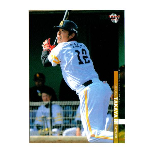 cardya2_yb2011-h-r38