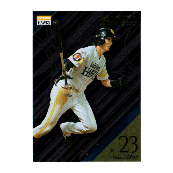 BBM2019 \tgoNz[NXJ[hZbg Brilliant M[J[h No.20 C