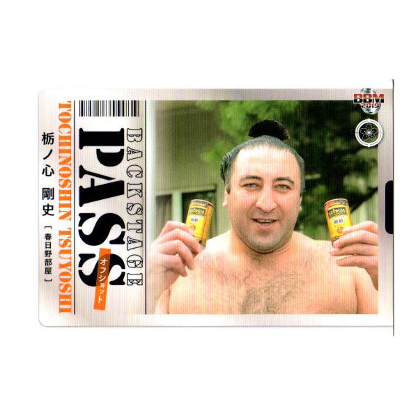 BBM2019 告oJ[h M[J[h No.82 ȃmSj