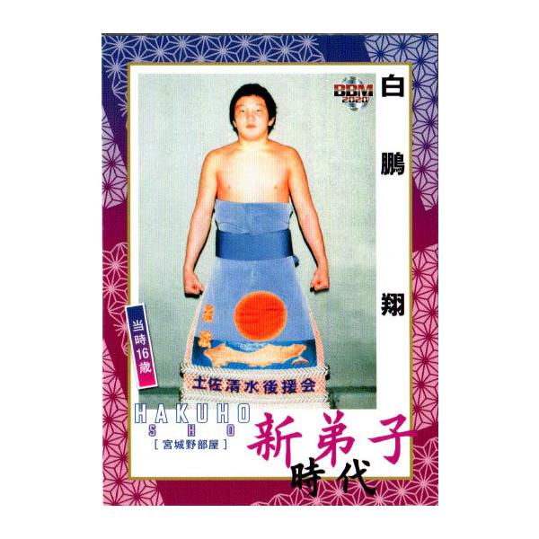 BBM2020 告oJ[huVv M[J[h No.43 Q