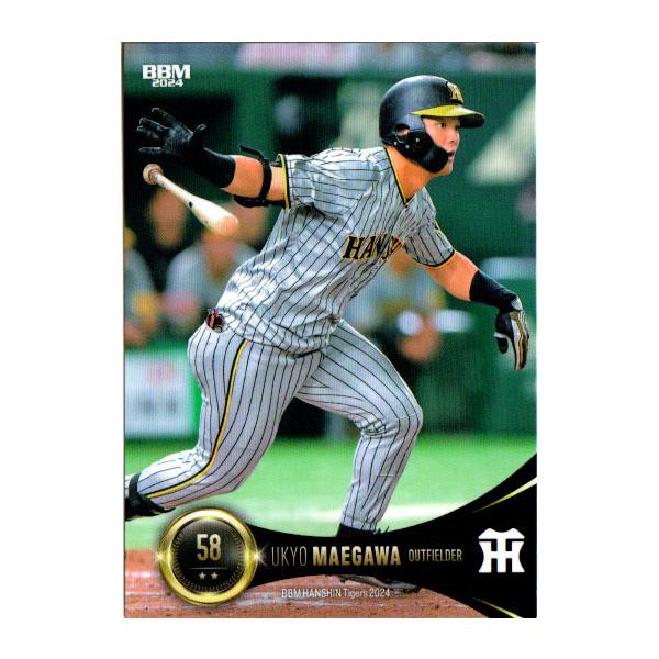 cardya2_yb2024-t-k63 cardya2_yb2024-t-k63