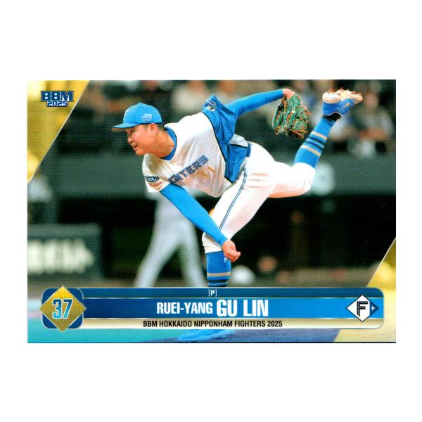 cardya2_yb2025-f-k20