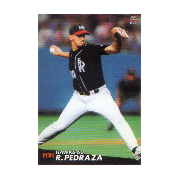 2001 プロ野球チップス　スペシャルカード　フォルダーセット　カルビー 2001 プロ野球チップス スペシャルカード フォルダーセット
