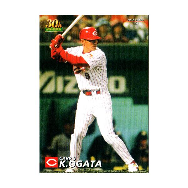カルビー2002 プロ野球チップス 第二弾 レギュラーカード No.113