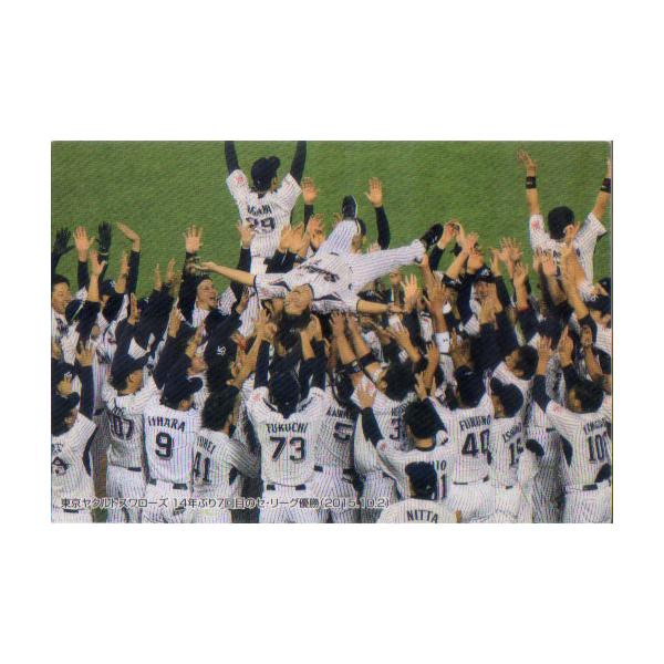 カルビー2016 プロ野球チップス 第一弾 チェックリストカード No.C-02