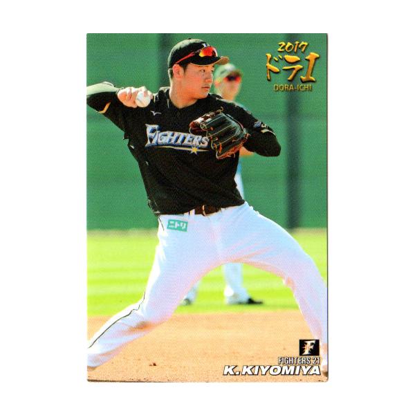 カルビー2018 プロ野球チップス 第一弾 ドラフト1位カード No.D