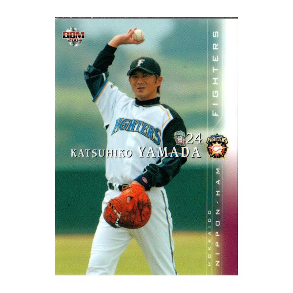 BBM2004 kC{nt@C^[Y M[J[h No.33 RcF