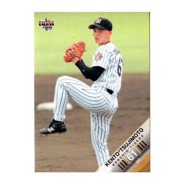 BBM2006 阪神タイガース レギュラーカード No.T041 辻本賢人