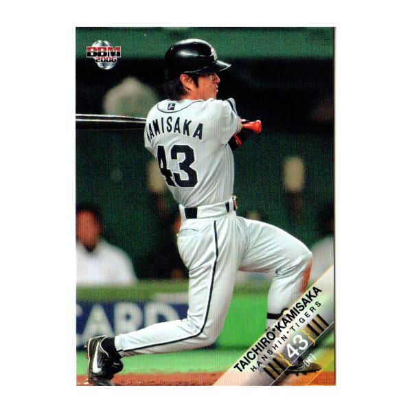 cardya2_zb2006-t-r060 cardya2_zb2006-t-r060