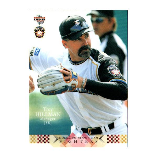 BBM2007 kC{nt@C^[Y M[J[h No.F001 q}