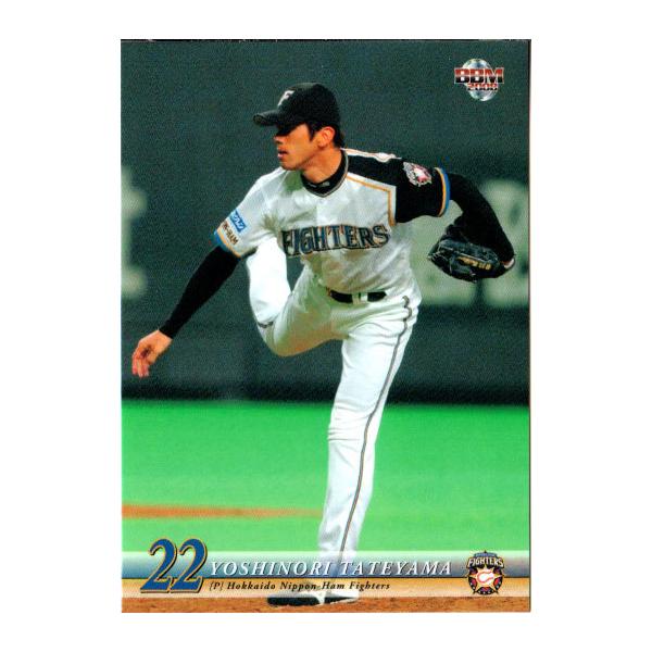 BBM2008 kC{nt@C^[Y M[J[h No.F12 R`I