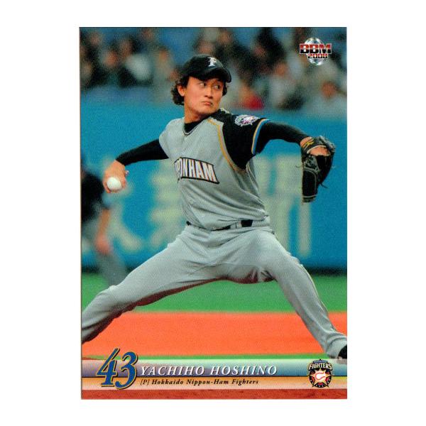 BBM2008 kC{nt@C^[Y M[J[h No.F23 씪