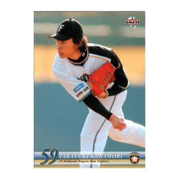 BBM2008 kC{nt@C^[Y M[J[h No.F30 XhV