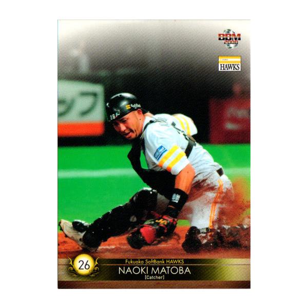 cardya2_zb2008-h-r39