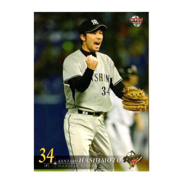 BBM2008 阪神タイガース レギュラーカード No.T019 橋本健太郎