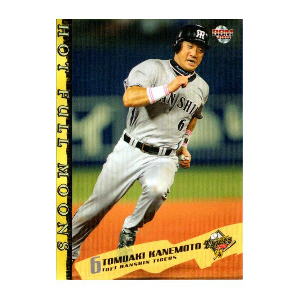 BBM2008 _^CK[X M[J[h No.T095 {m