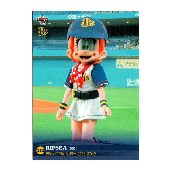 cardya2_zb2009-bs-r71
