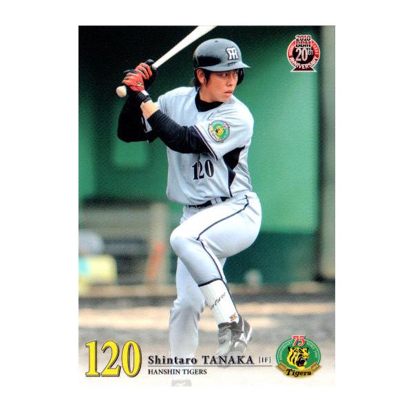 cardya2_zb2010-t-r074 cardya2_zb2010-t-r074