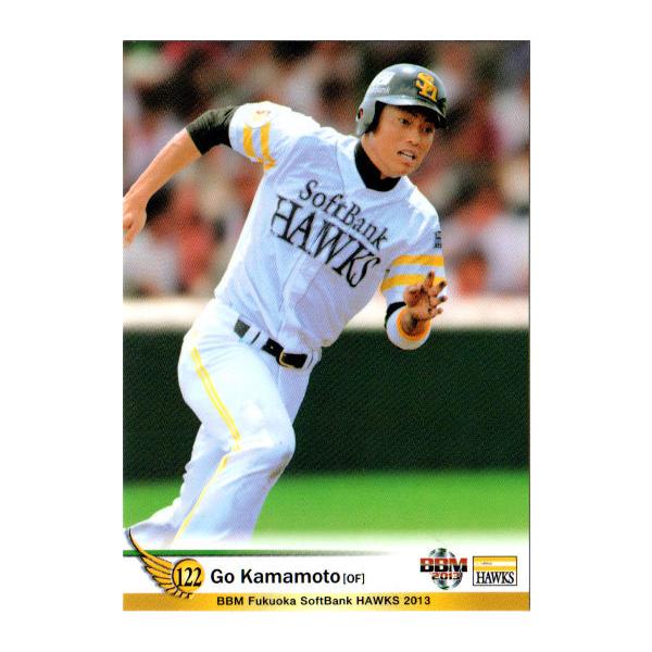 cardya2_zb2013-h-r89