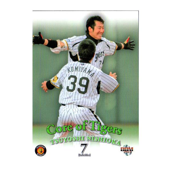 BBM2013 _^CK[X M[J[h No.T099 