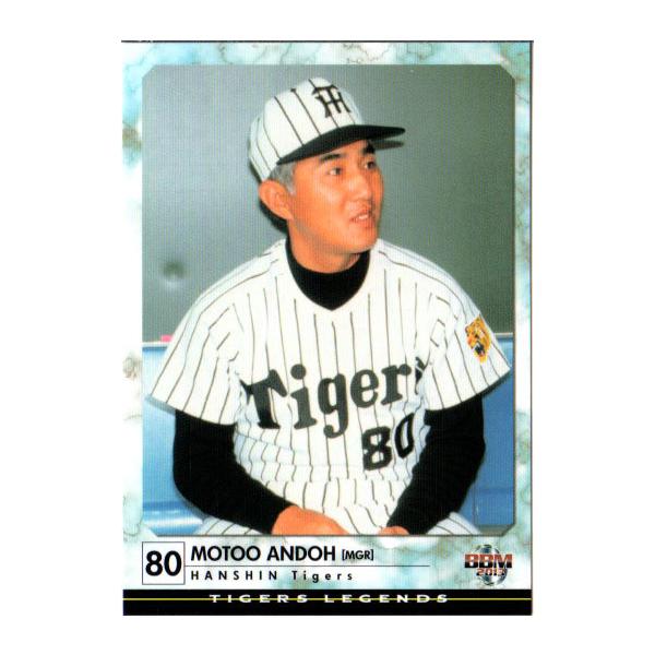 cardya2_zb2013-tl-r02