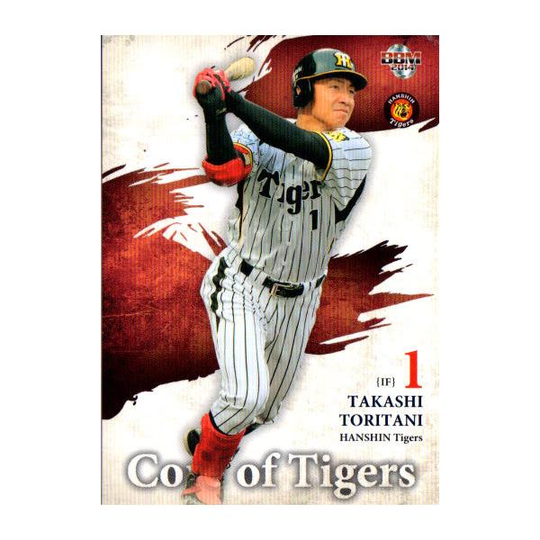 BBM2014 _^CK[X M[J[h No.T85 Jh