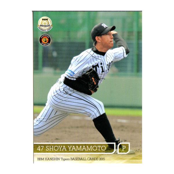 BBM2015 _^CK[X M[J[h No.T22 R{Ė