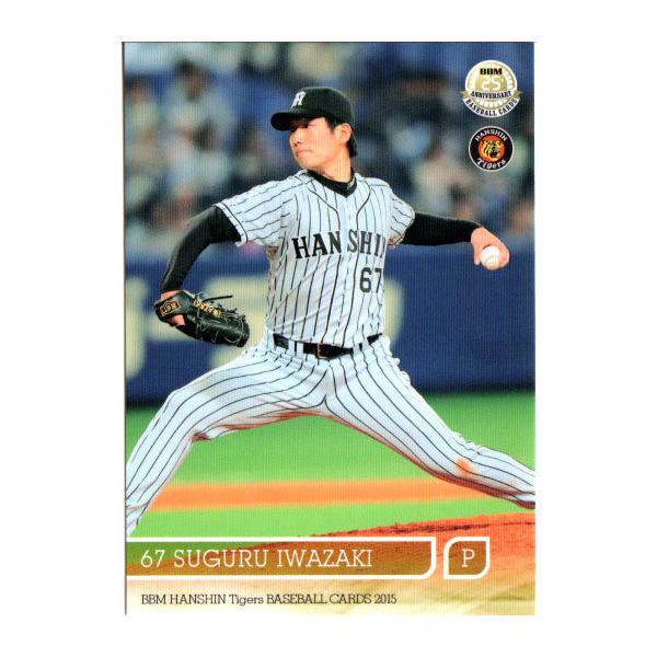 BBM2015 _^CK[X M[J[h No.T30 D