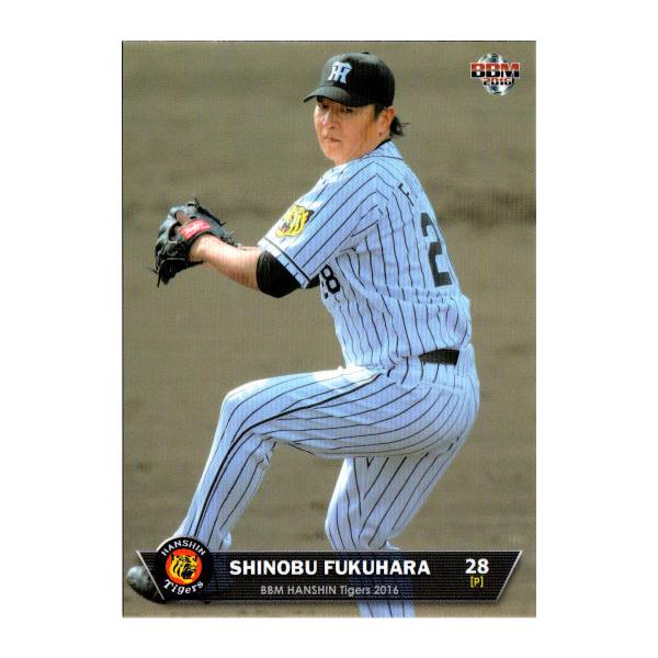 BBM2016 _^CK[X M[J[h No.T13 E